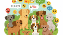 Grupo WhatsApp cachorros