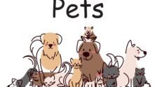 Grupo de WhatsApp Pets