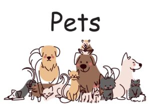 Grupo de WhatsApp Pets